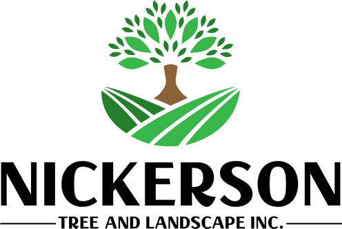 nickerson-tree-landscaping-logo-cape-cod
